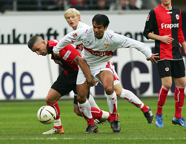 远的根基 远的根基