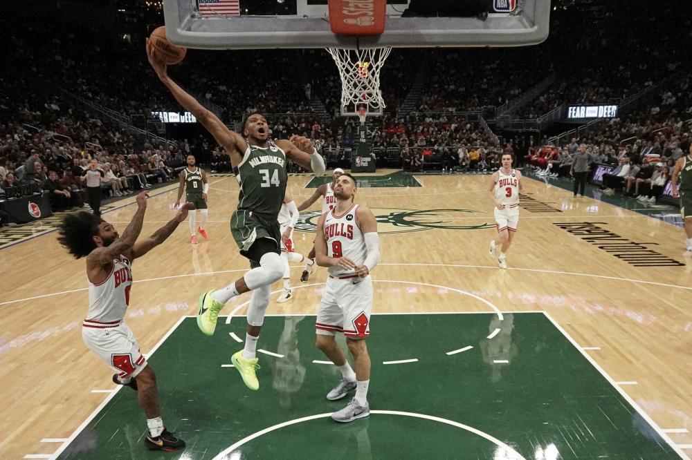 内球迷期待 内球迷期待